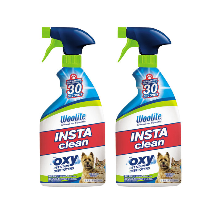 Woolite Insta Clean Pet Stain & Odor Remover & Reviews Wayfair